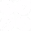 Ícone